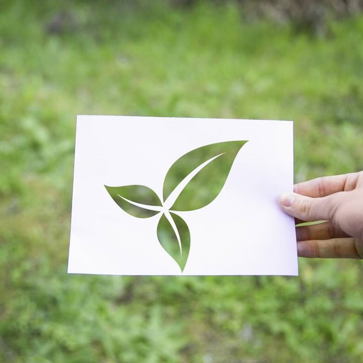 LEED Sertifikası Nedir?